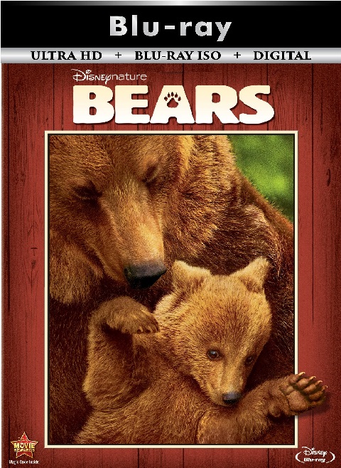 Bears