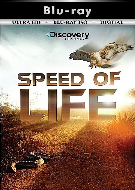 Speed of Life