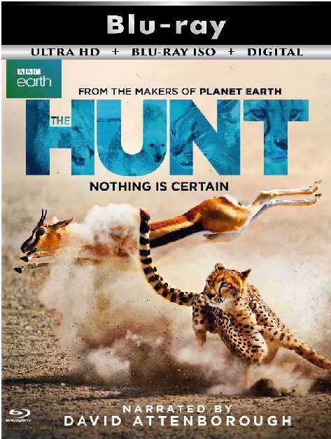 The Hunt