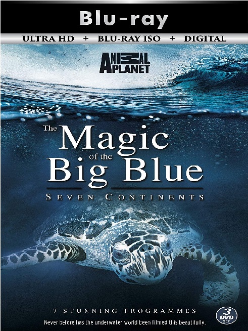 The Magic Of ...