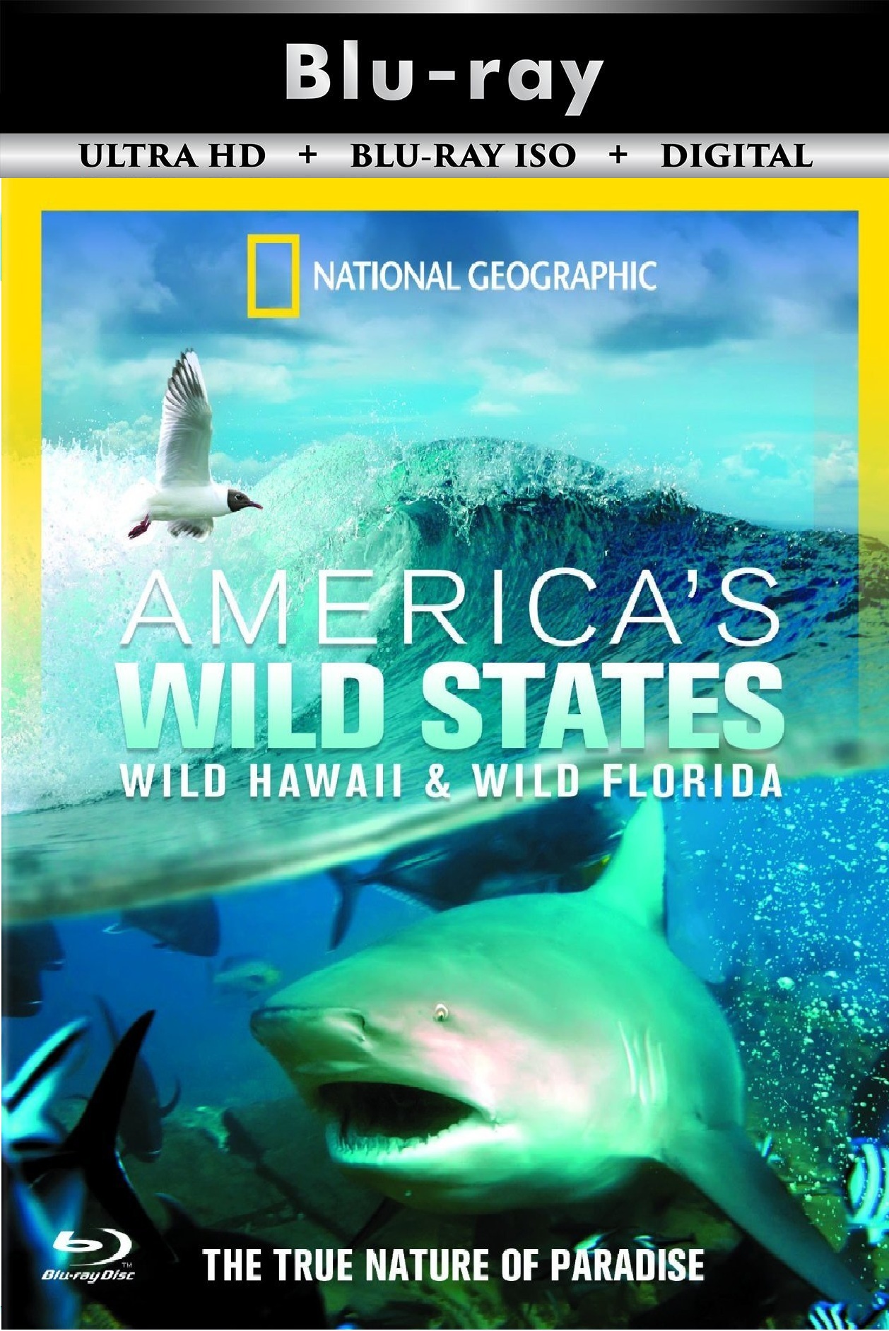 Wild Florida