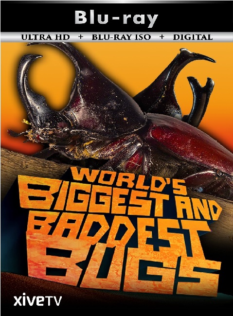 World