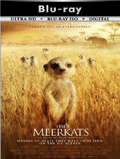The Meerkats