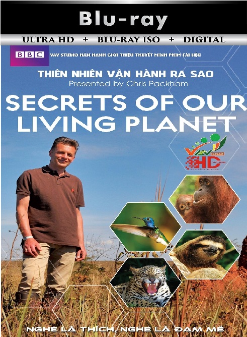 Secrets of Our ...