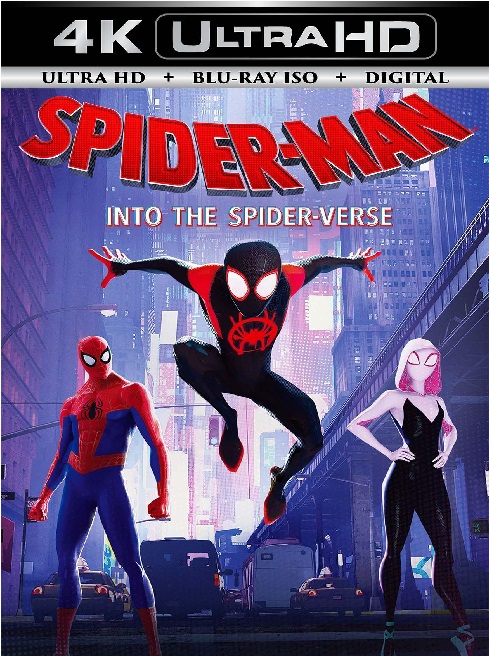 Spider Man