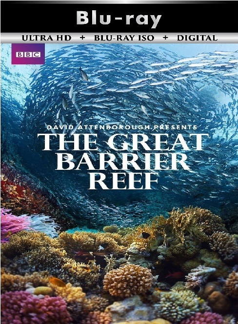 Great Barrier Reef