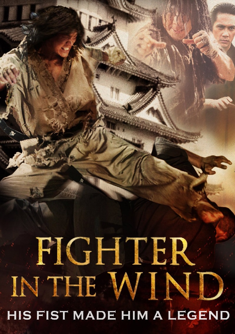 Fighter in The Wind