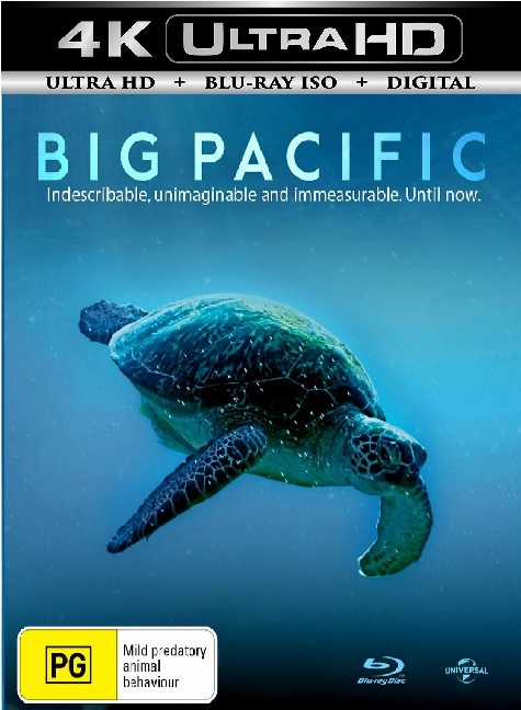 Big Pacific