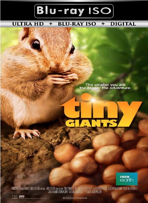 Tiny Giants