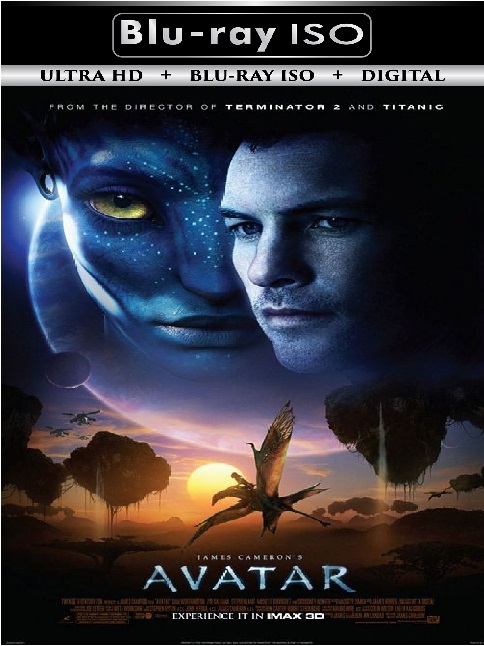 Avatar
