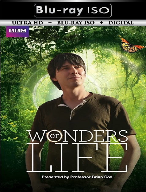 Wonders of Life
