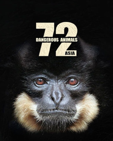 72 Dangerous Animals