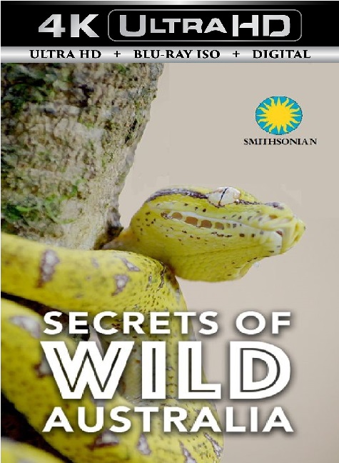 Smithsonian Channel 2