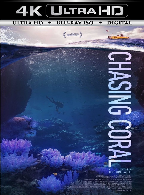 Chasing Coral