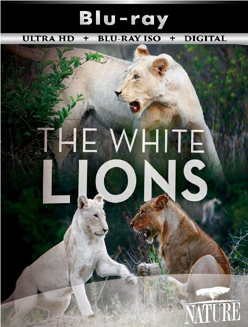 The White Lions