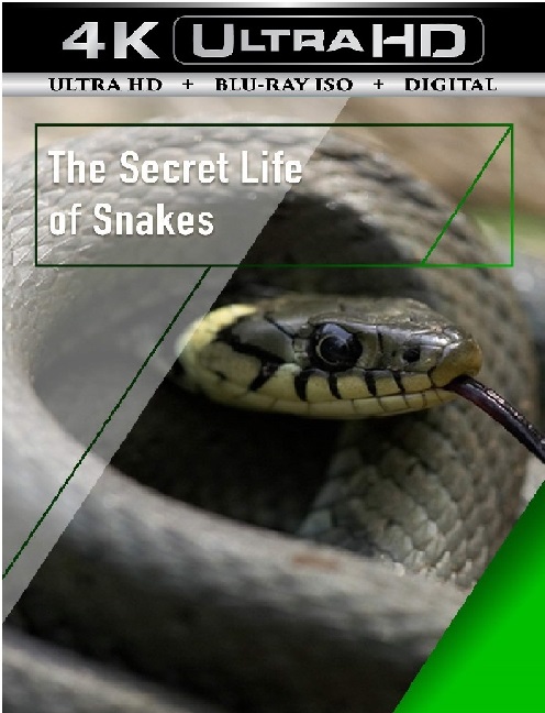The Secret Life of Snakes