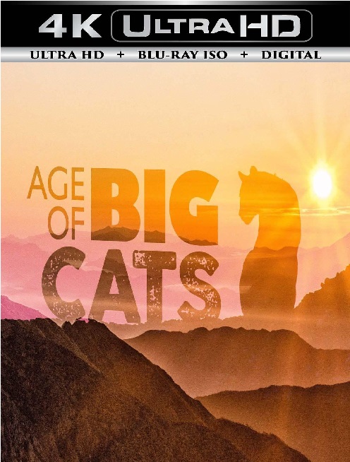 Age of Big Cats