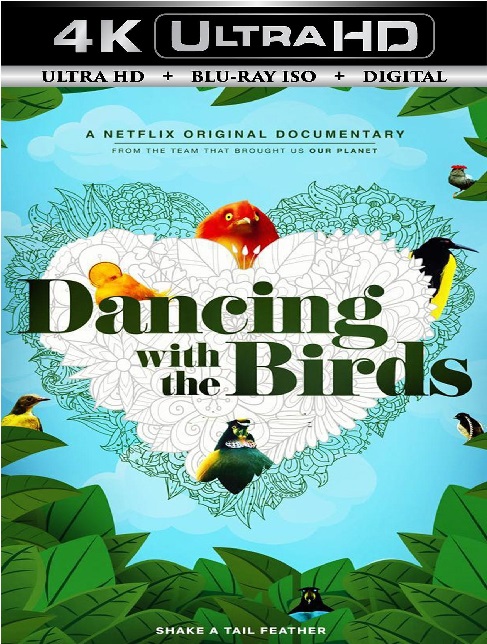 Dancing with the Birds