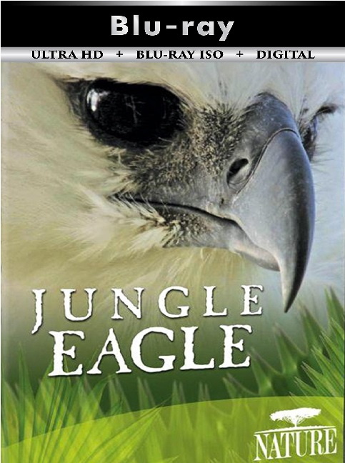 Jungle Eagle