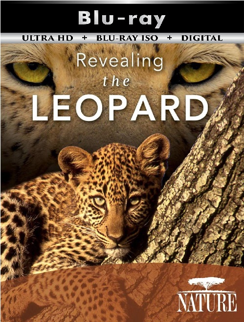 Revealing the Leopard