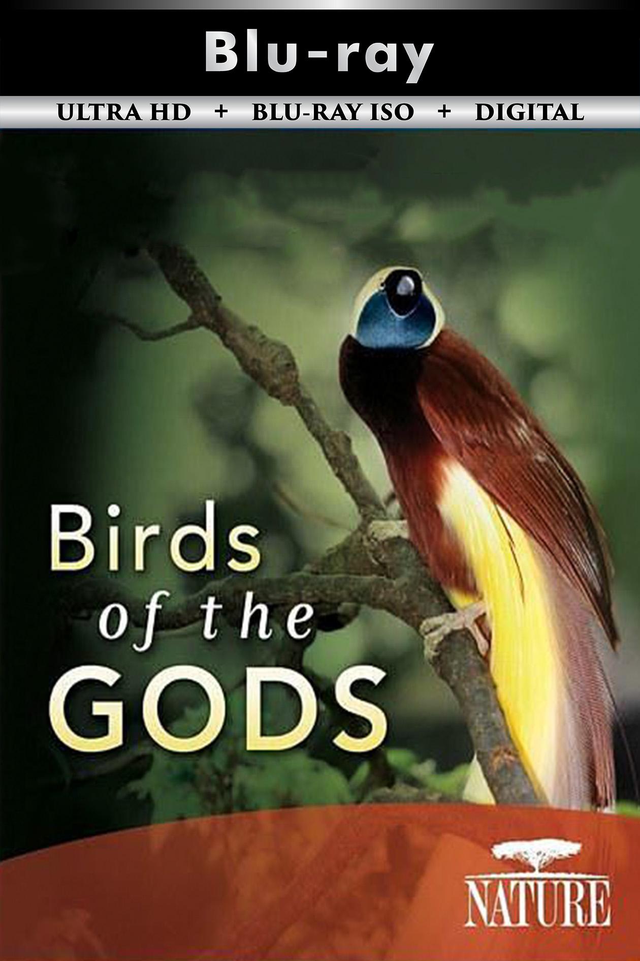 Birds of the Gods