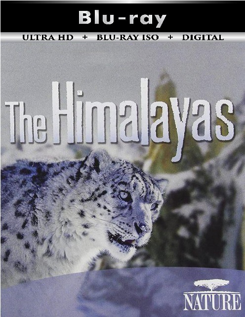 The Himalayas