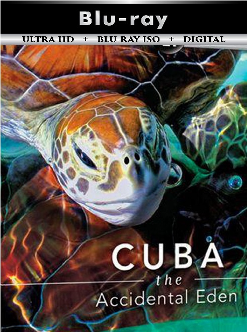 Cuba The Accidental Eden