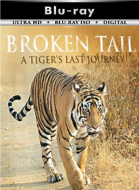 Broken Tail A ...