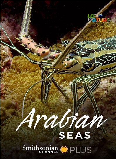 Arabian Seas