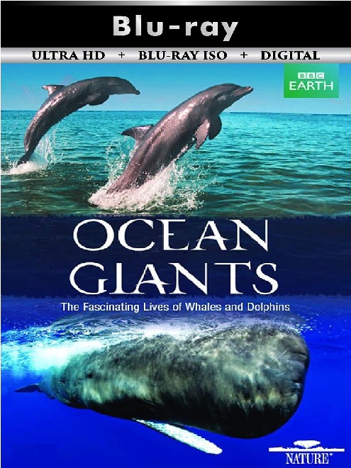 Ocean Giants