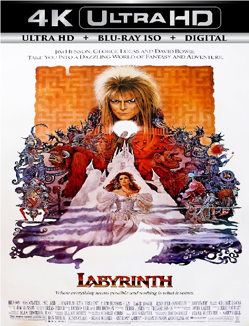 Labyrinth