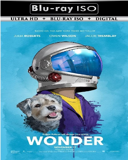 Wonder