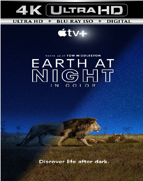 Earth at Night in Color