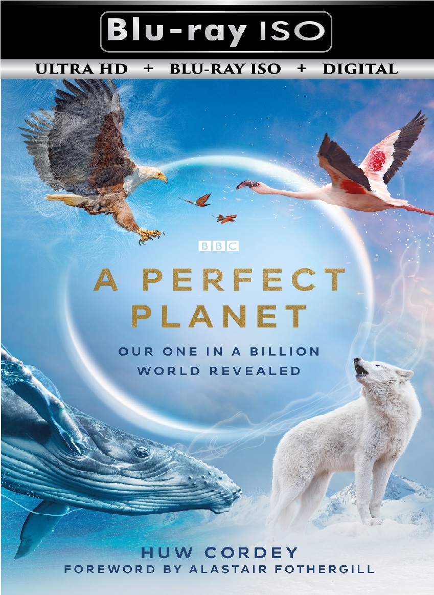 A Perfect Planet