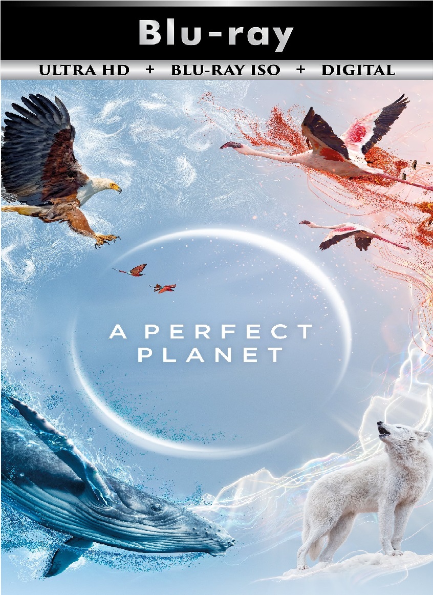 A Perfect Planet