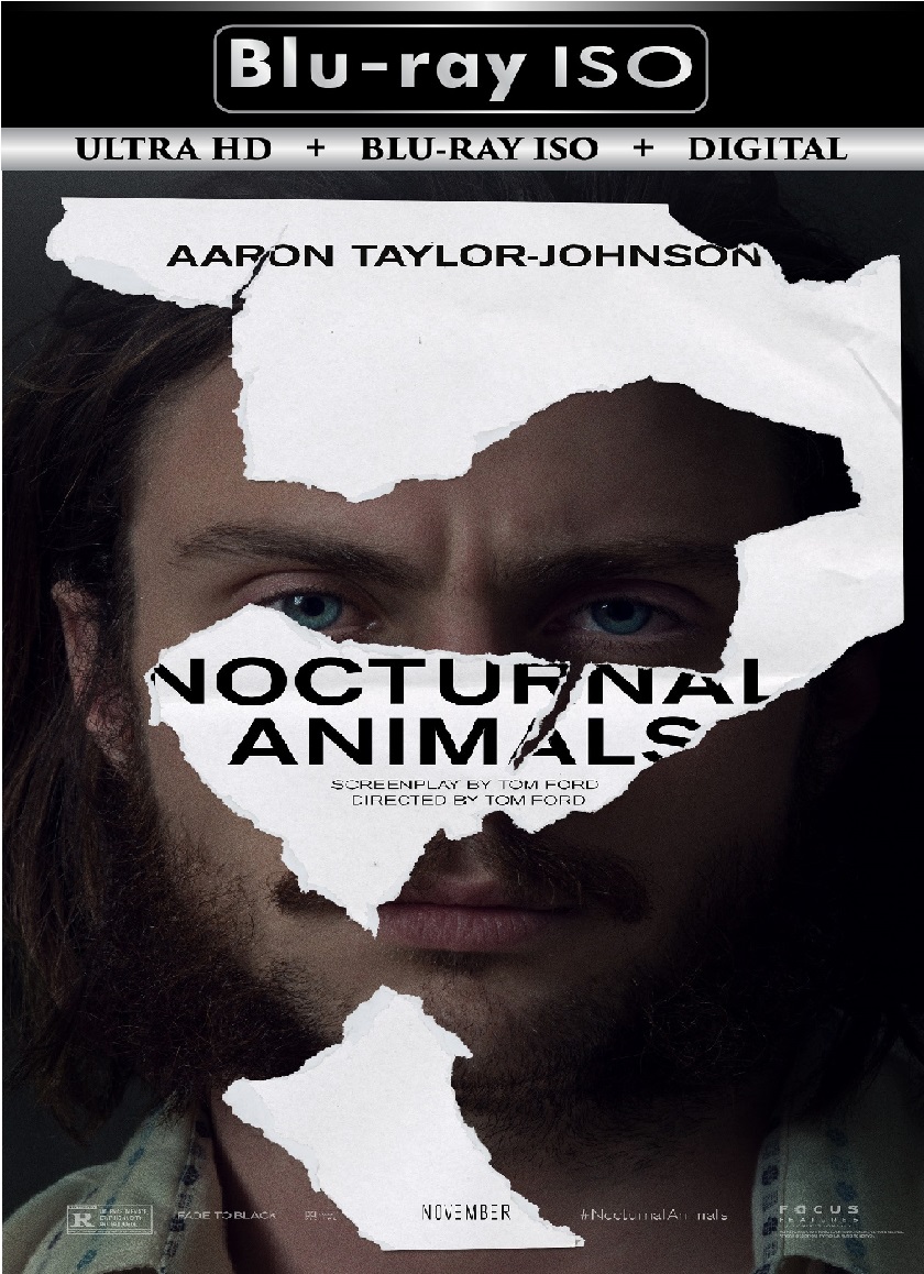 Nocturnal Animals