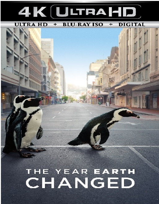 ATVP David Attenborough