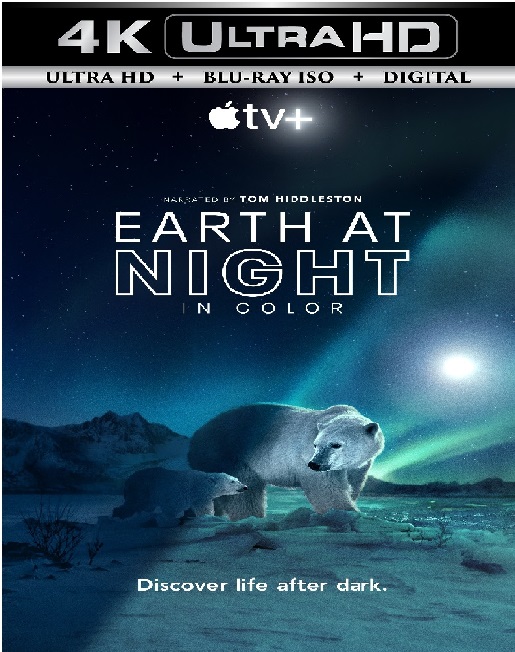 Earth at Night in Color