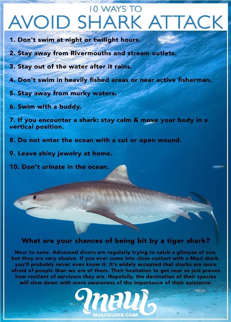 Sharks of Hawaii