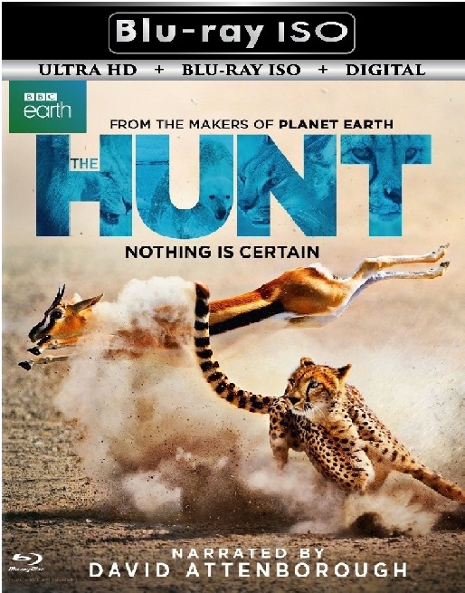 The Hunt