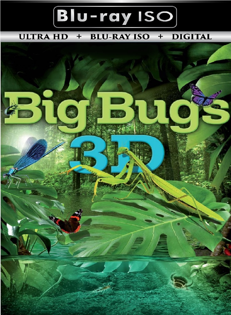 Big Bugs