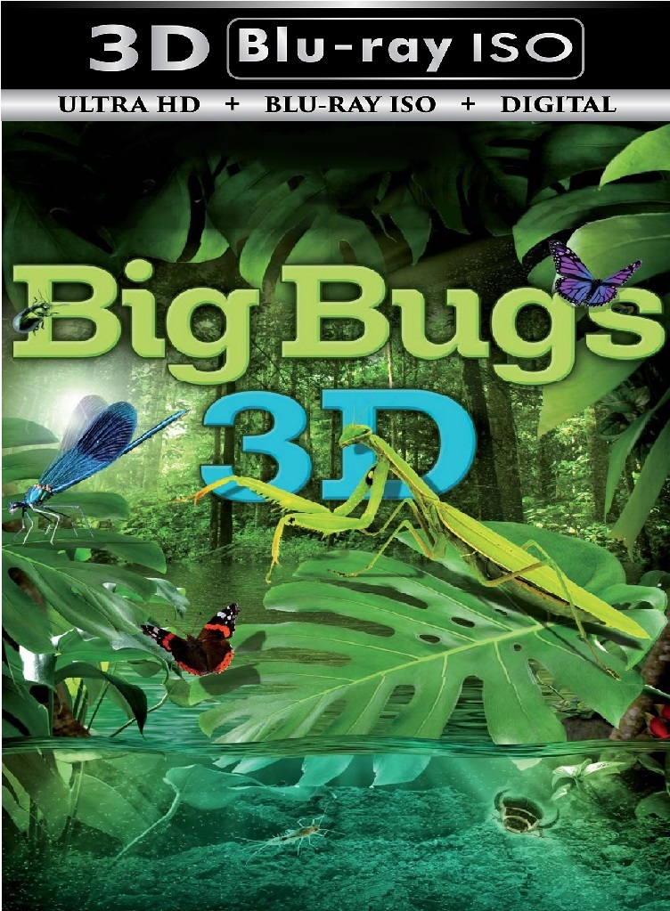 Big Bugs