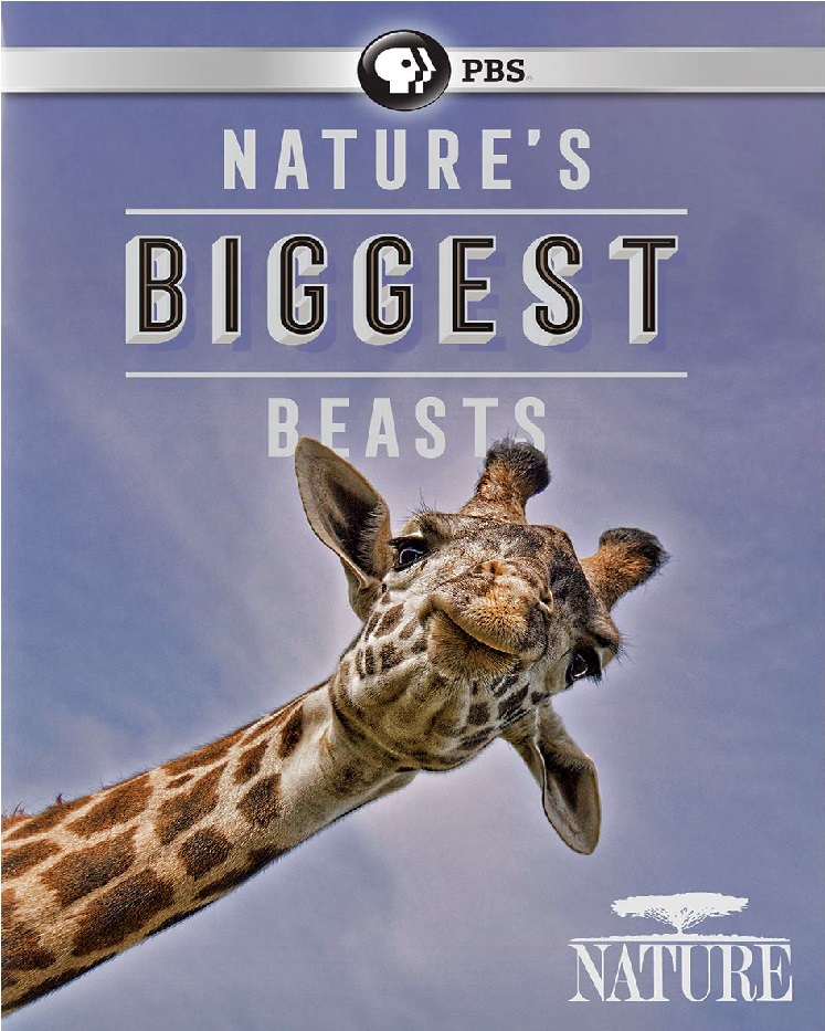 NATURE 38
