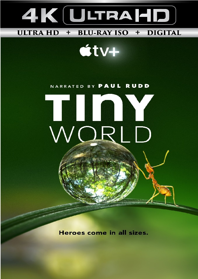 Tiny World