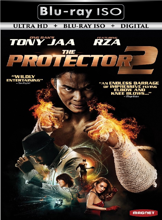 The Protector 2