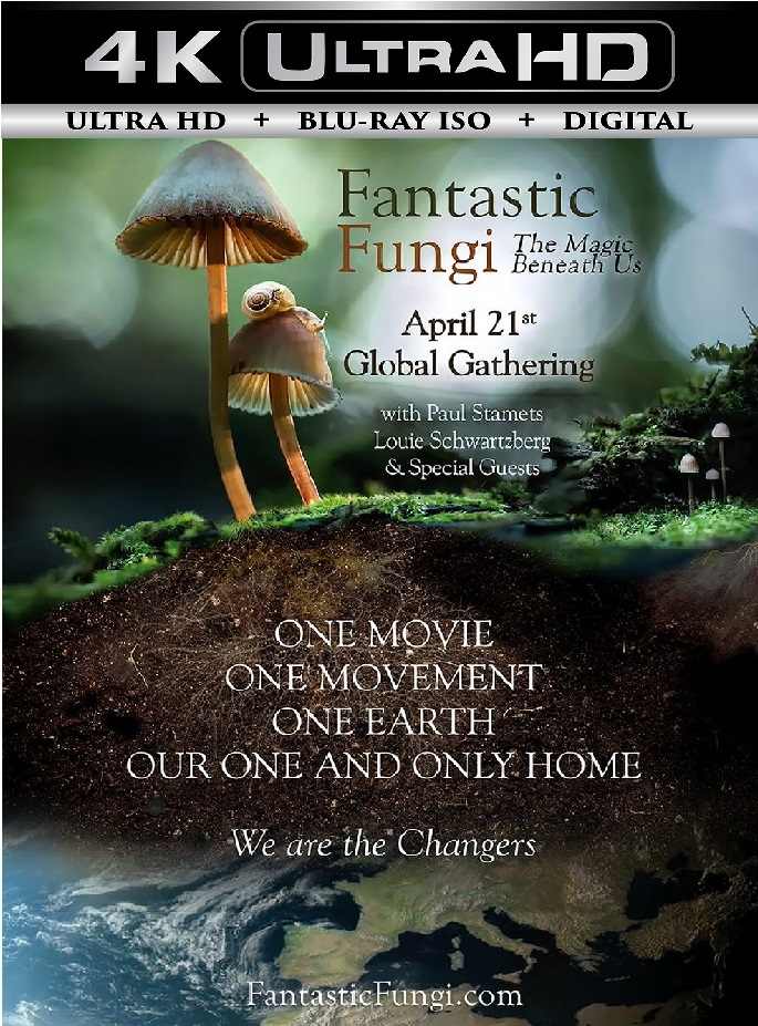 Fantastic Fungi