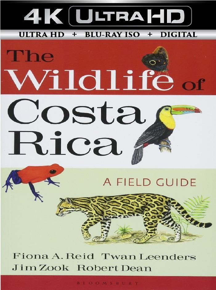 The Wildlife of ...
