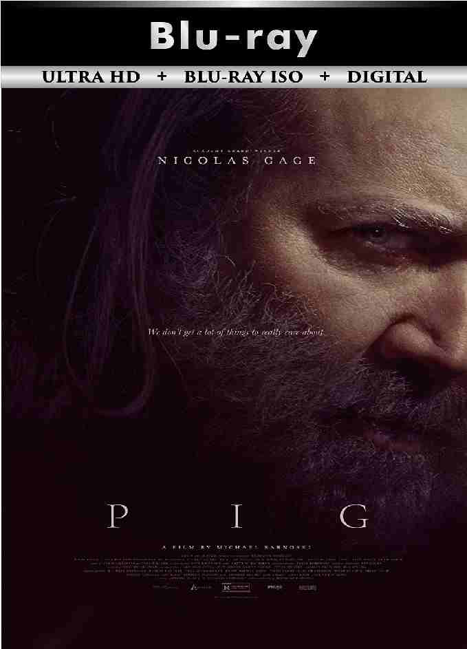 Pig