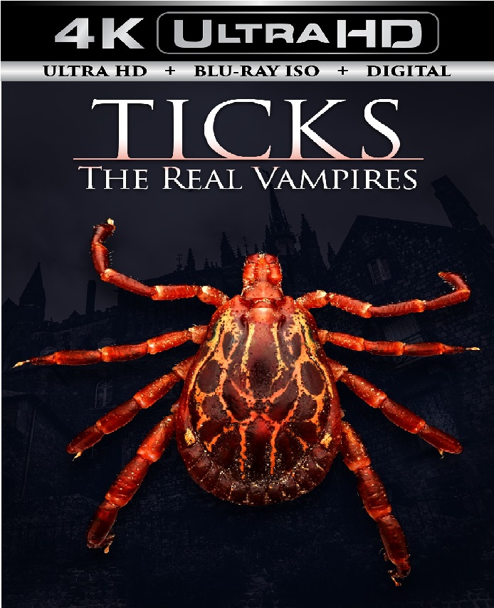 Ticks