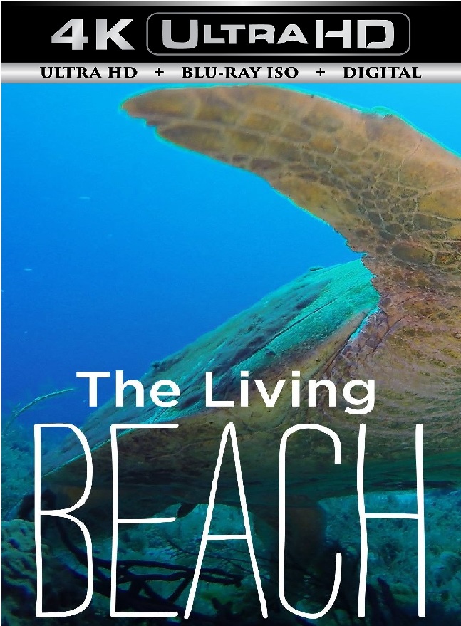 The Living Beach